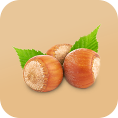 Nocciole BIO